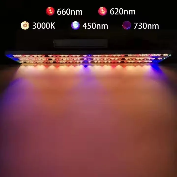 LEDs Indoor Quantum Board