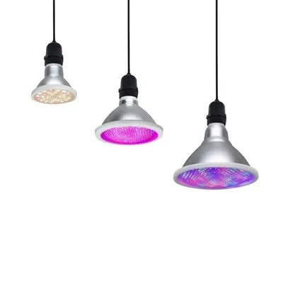 베고니아에 LED 식물 재배용 전구를 사용할 수 있을까요?